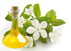 эфирные масла эфирные масла